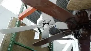Broward Habitat Ceiling Fans 2-13-2017