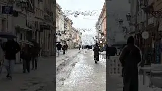 Novi Sad City Center in snowfall #serbia #snowfall #travelvlog
