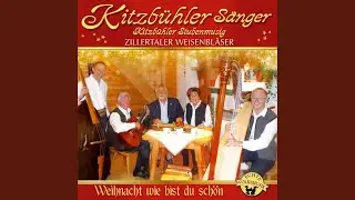 Wer weascht denn heit no klopfn drausst