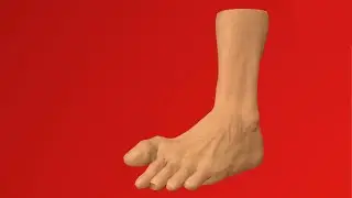 How a Foot works