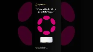 $200 in Polkadot in 2019 &rarr; Now 💥 | DOT Growth Story #CryptoIndia