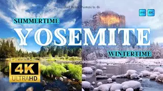 Yosemite National Park (Capturing the Beauty of Summers and Winters) #yosemite