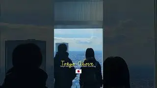 Bird's view of Tokyo #viral #tokyo #reels #travel #japan #trending #city