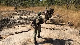 Niassa Elephant Defenders: Parts I & II