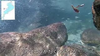 鴨川探検 ～びわ湖から鴨川源流へ～