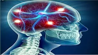 Most Realistic Brain Visualization !! #brainvisualization !!