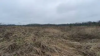 Field . pt.2. November 2025