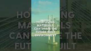 How will living materials shape the future built environment?