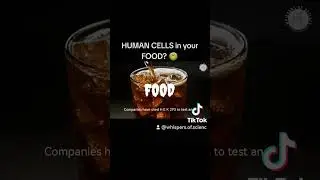 HUMAN CELLS in your FOOD? 🤢You&rsquo;veprobablyeatenit withoutevenknowing#HEK293 #FoodFacts#ScienceExposed