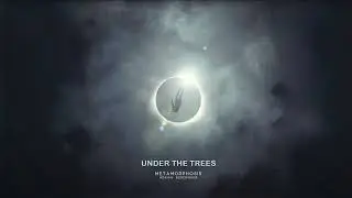 Under The Trees | Metamorphosis | Adri&aacute;n Berenguer