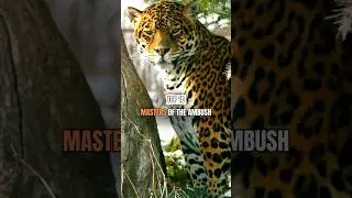 Top 10 Ambush Predators That Strike Instantly! ⚡🐯 #shorts
