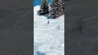 Skiing innovative idea #skiing #innovative #snow #shorts