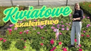 Kwiatowe Szaleństwo w KURASZEWIE. Gospodarstwo pani BOŻENY.