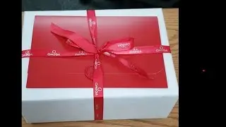 Unboxing of the Omega Seamaster Aqua Terra World Timer