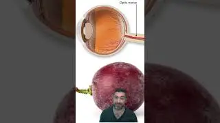 What does Uveitis actually mean?