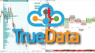 How to Get NSE (Indian Stock Exchange) Data Into NinjaTrader 8 Platform