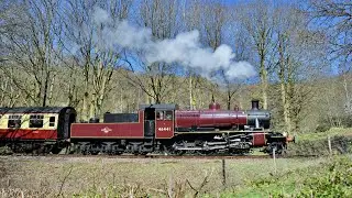 Ivatt in Red - 2MT 46441 steaming along the Lakeside & Haverthwaite Railway - 7th April 2025