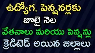 Employees And Pensioners July Month Salaries And Pensions Credited Districts @VaishuChannel