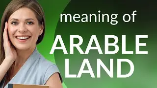 Understanding 
