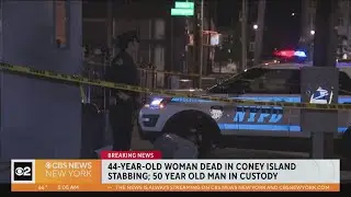 Woman stabbed to death inside Coney Island building
