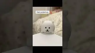 Humans, bears protect you.#cute #gift #funny #bear #bumperguard #new #cartoon #decor