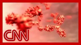 What an antibody test could mean for the coronavirus pandemic
