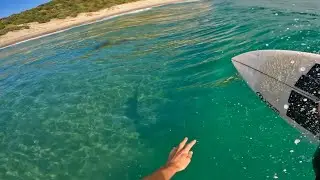 SURFING SKATEPARK CONDITIONS ON NZ EAST COAST (RAW POV)