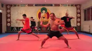 Shaolin Qigong Voume 1: 2nd Movement - Kai Gong Shi.
