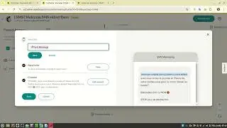 mailchimp sms campaign 2024