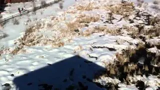 Swaner EcoCenter - Observation Deck View