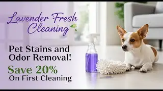 First Cleaning Special | Save 20% on Carpet Stain & Pet Odor Removal!