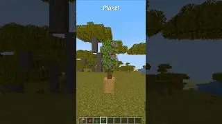 Plant Design 🌿🪴✨ #minecraft #minecraftbuilds #minecraftshorts