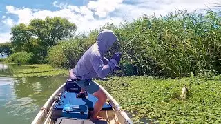 伊庭内湖、パンチング、デカバス出てこいや！3