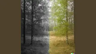 Color Blind