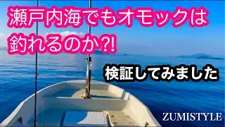 瀬戸内海でもオモックは釣れるのか⁈検証してみました