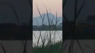 Ing Marangle q&ntilde;g sacup ning Macabebe, a meguing antimong dagat, o ing yausan dang dayat malat.p