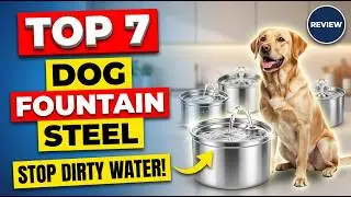 Top 7 Best Dog Water Fountain Stainless Steel Review (Exclusive) Clean Hydration Guide 2026