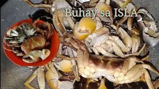 Buhay sa isla simple lang 