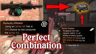 Perfect Efficient + (ACS-12) Striker = Get Deleted ⛔️ (Division 2 Y7S1.3 PVP)
