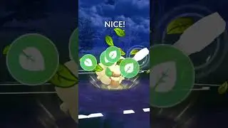 This is Why You Must Have a Fairy Wind Whimsicott in Great league | Pokemon Go |