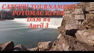 CATFISH TOURNAMENT POTOMAC RIVER DAM #4 April 3 2010