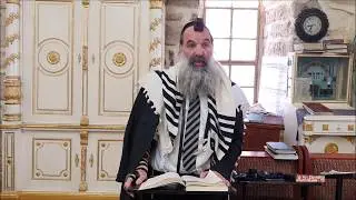 Tzitzit Sold by a Non-Jew - Rabbi Avraham Goldstein