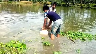 Trapping Huge Country Fish Using Big Pottery Pot | Catching Fish By Village Children