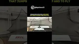The Future of Robotics: Flying Robot Bird