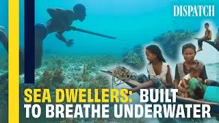 At Sea For Centuries: Indonesian Fishermen Who Can Hunt Underwater | Marine Nomad Documentary Clip