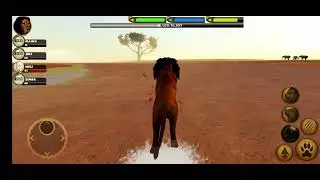 Lion vs three hyena in ultimate lion simulator by gluten free games