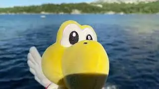 Koopa's Vacation