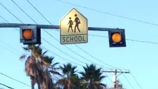 Incandescent 3M Yellow Flashing School Lights (Spring Valley Academy)