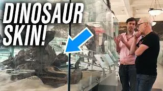 A Mummified DINOSAUR? (at @AMNH)