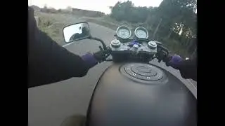 SUZUKI GOOSE 350